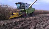 Claas Avero 160