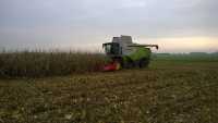 Claas Lexion 750 Helmut