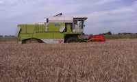 Claas Dominator 76