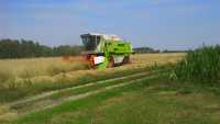 Claas Dominator 88