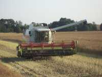 Claas Lexion 450