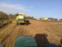 Claas Lexion 650 i Tucano 320