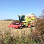 Claas Mega 208 + Geringhoff