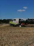 Claas Lexion 570 Claas Lexion 570