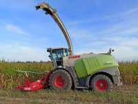 Jaguar 970 Jaguar 970