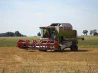 Claas Commandor 116 CS Maxi