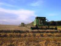 JD T660  /  JD W650i