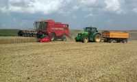 Massey Ferguson 7244 & John Deere 6830 + Wileton