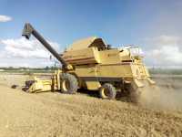 New Holland TF New Holland TF