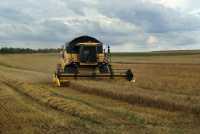 New holland CX 6080