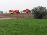Grimme sf 170-60