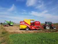 Grimme SE 140 i AVR Spirit 6200