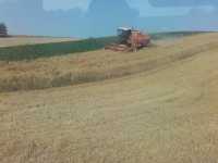 Z górki :D Z górki :D