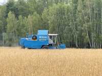 Bizon Bs z110 Bizon Bs z110