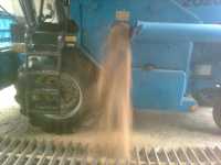 Bizon Sampo Bizon Sampo