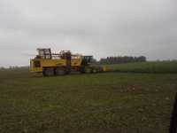 Ropa euro-Tiger Ropa euro-Tiger