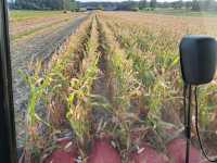 05.09.2024 05.09.2024