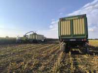 Sy Maximaize Sy Maximaize