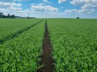 Astronaute Astronaute