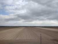 Marchew 2022 Marchew 2022