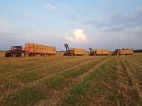 Słoma 2018 Słoma 2018