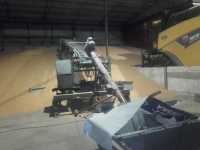 Pryzmownik Pryzmownik