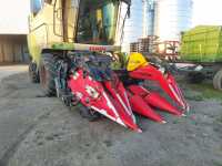 Capello Quasar Capello Quasar