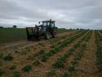 Lamborghini R2.90 Lamborghini R2.90