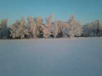 Zimową porą. Zimową porą.