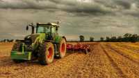 Fendt i tiger 6LT