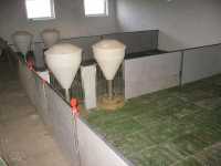 Odchowalnia Odchowalnia