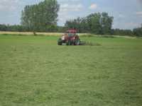 McCormick & Krone McCormick & Krone