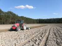 McCormick CX95 McCormick CX95