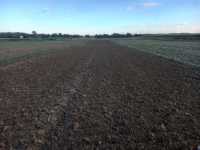 Nie chce się orać Nie chce się orać