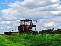 Massey Ferguson 255 & Moskit