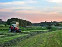 Massey Ferguson 7619 + Krone MX 350 GD