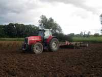 MF 8140 i talerzowka BDT 4m