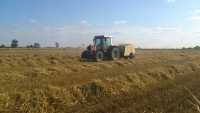 Massey Ferguson 3060 i Krone KR 125