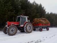 Massey Ferguson 3080 & Przyczepa