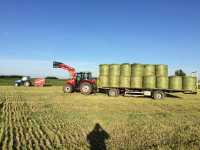 Massey Ferguson & platforma