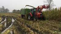 Massey Ferguson 5435 & Pronar