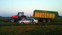 MF 7619 + Krone MX350GD i japoniec