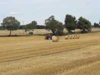 Ursus 4512 Ursus 4512