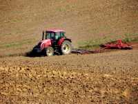 Zetor Forterra 11441 Brony 4x2 i wał 4.5m