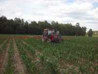 zetor 7340 turbo & briadzki 600l