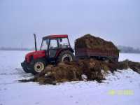 Zetor 7340 + czarna białostocka