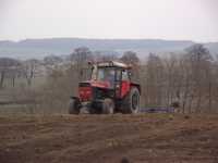 Zetor 12111