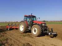 New Holland M135 + Ibis