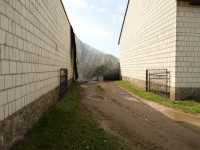 Wyjazd z podwórka Wyjazd z podwórka