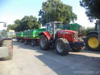 Massey Ferguson 6485 + Niemki